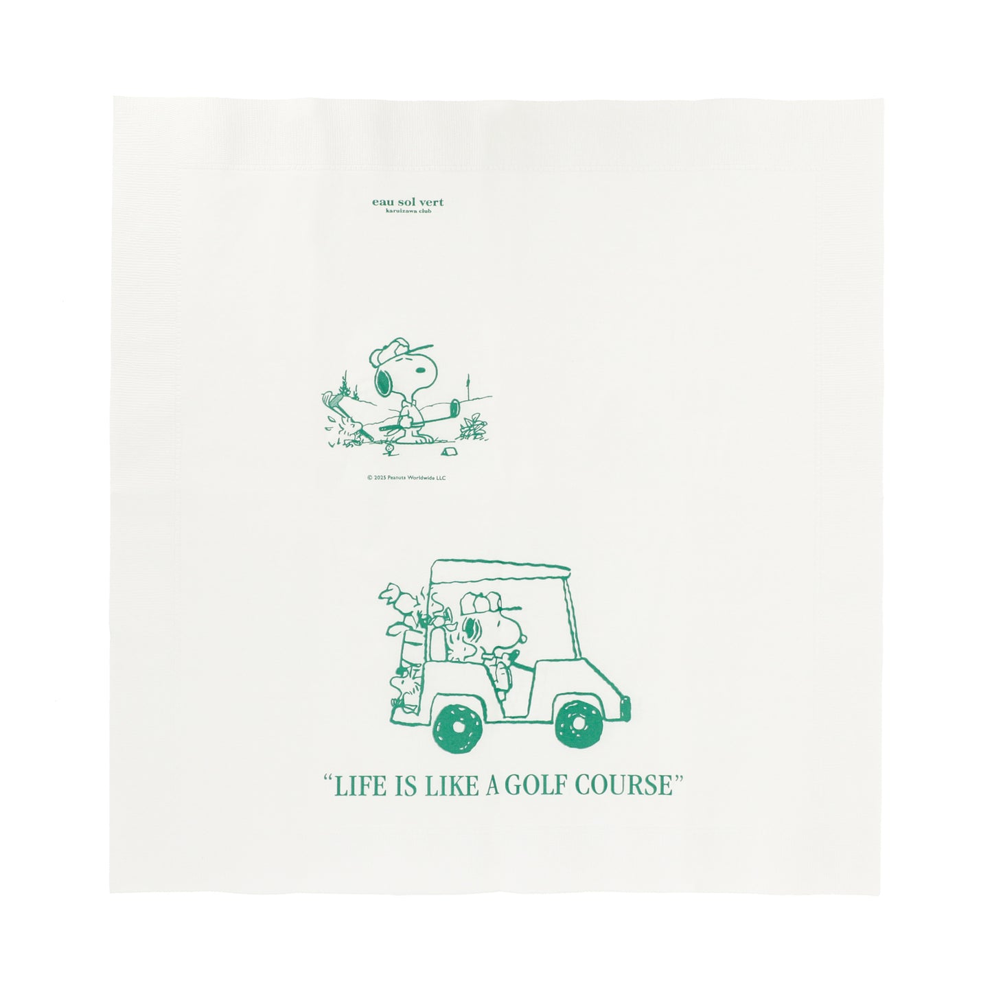 Paper Napkins