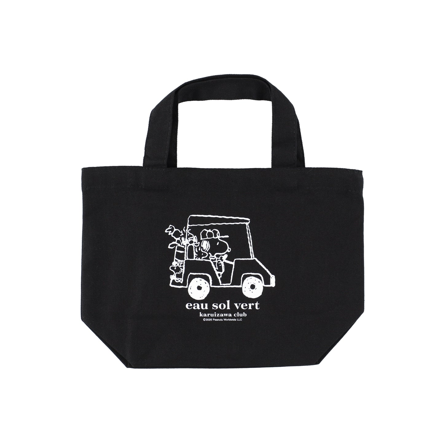Mini Tote Bag